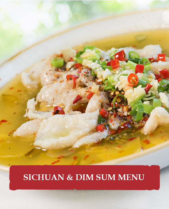 Sichuan & Dum Sum Menu